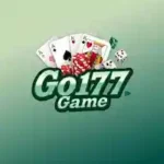 GO177 Game