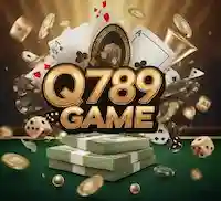 Q789 Game