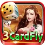 3Card Fly Game