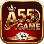 A55 Game